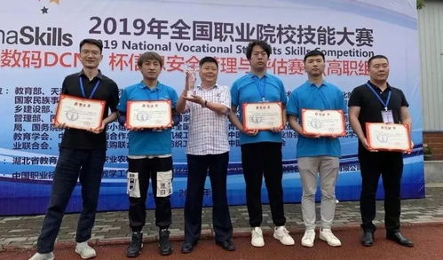 电子信息学院中的软件与信息技术服务