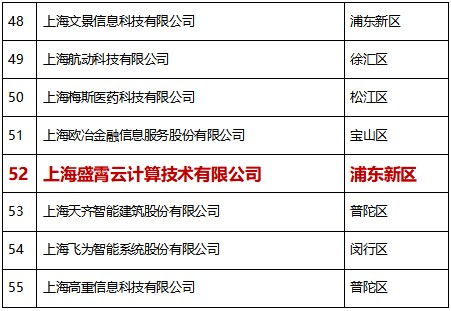 巅峰引领，再获殊荣 比格云荣登2020上海软件和信息技术服务业高成长百家榜单