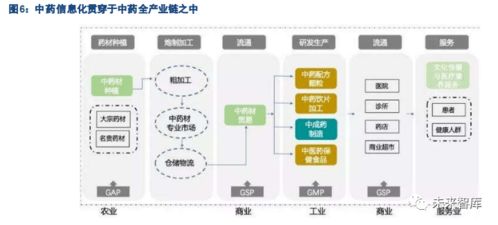 生物医药中药产业信息化专题报告 软件与信息技术服务的角色与发展